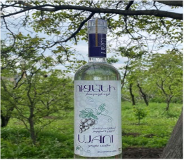 Ա/Ձ Պարույր Միքայելյան